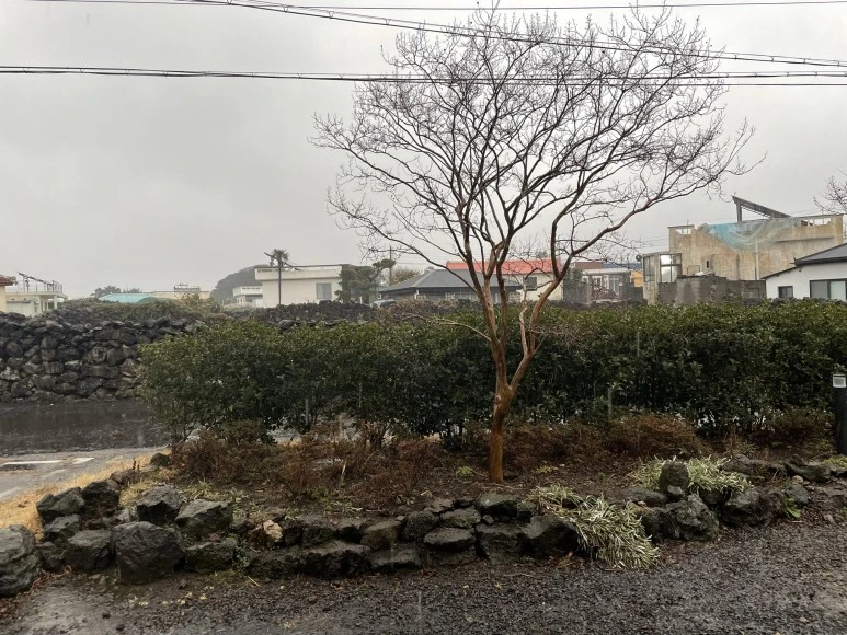 IMG_0571.JPEG?type=w773