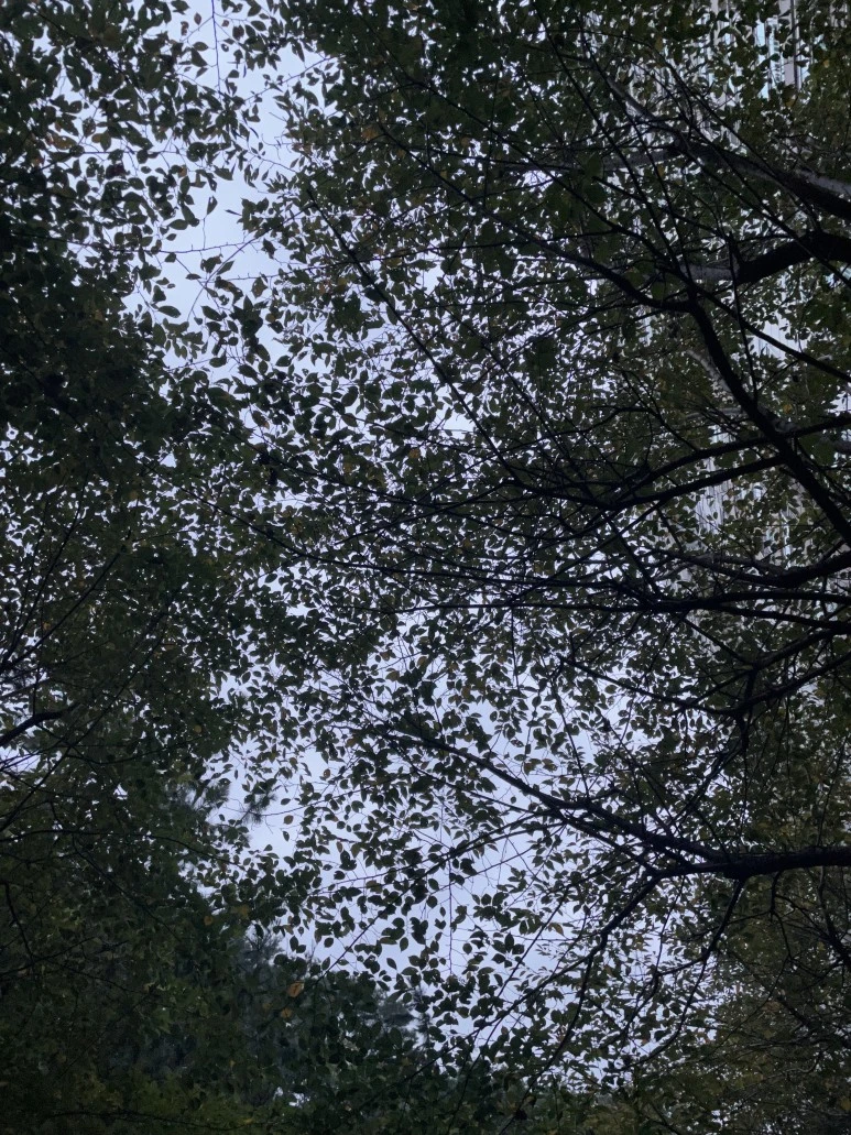 IMG_3449.jpg?type=w773