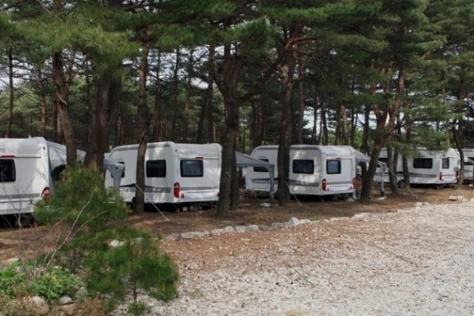 캠핑장 풍경.PNG