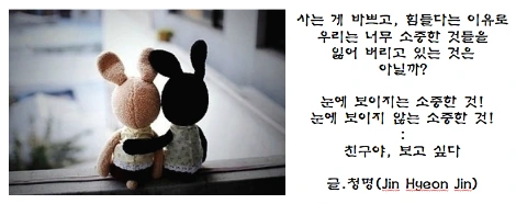 소중한 친구들.PNG