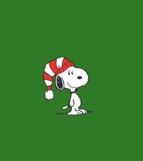 photo_2021-08-09 14.21.38.jpeg