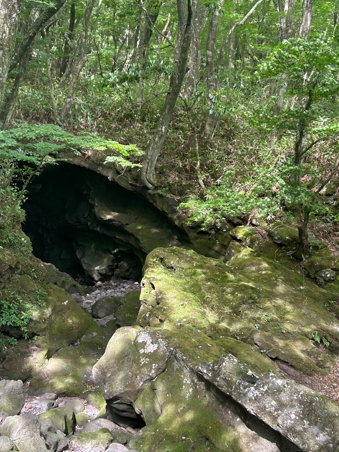 KakaoTalk_Photo_2024-07-10-23-48-13 009.jpeg