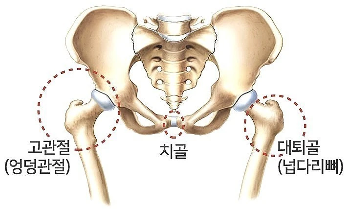 다운로드 (1).jpeg