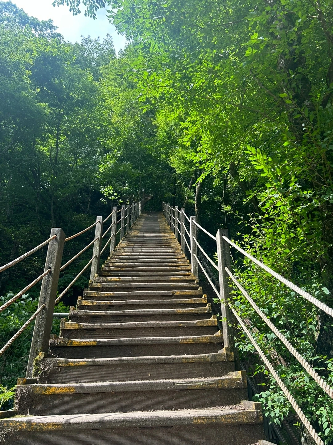 KakaoTalk_Photo_2024-07-10-23-48-14 016.jpeg