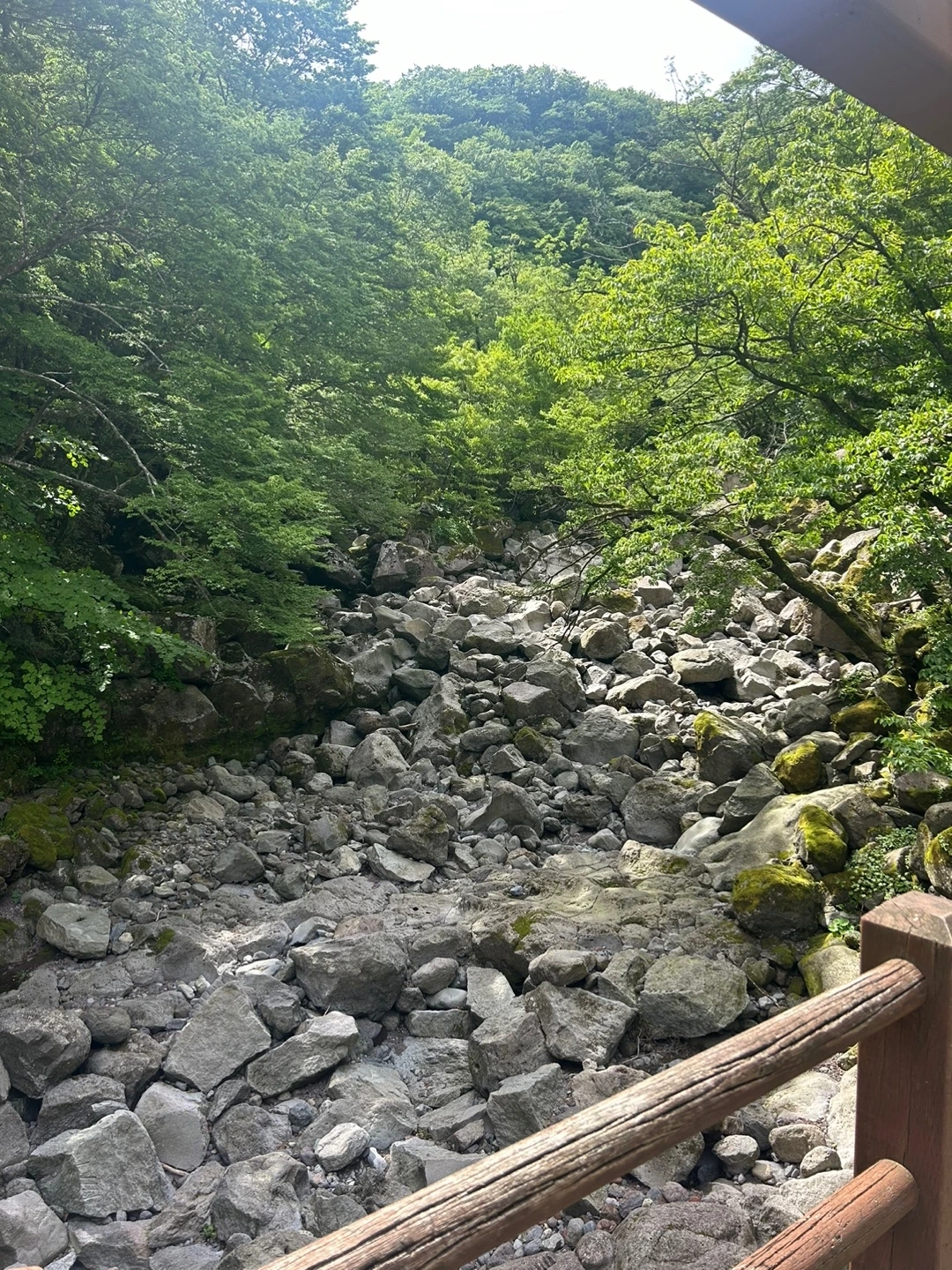 KakaoTalk_Photo_2024-07-10-23-48-13 011.jpeg