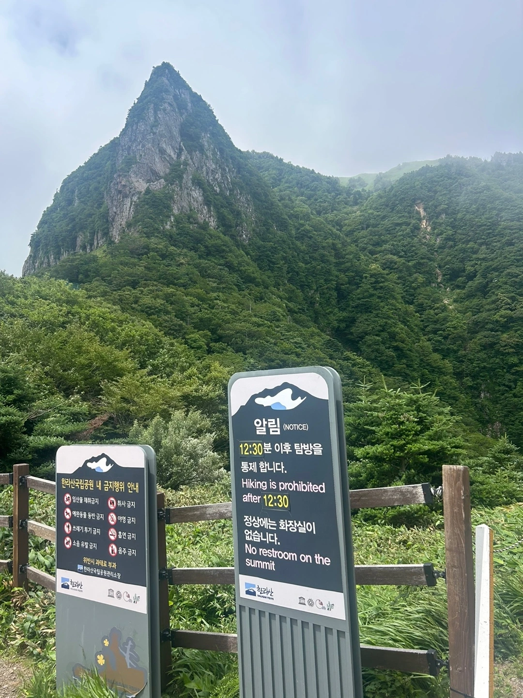 KakaoTalk_Photo_2024-07-10-23-49-43 005.jpeg