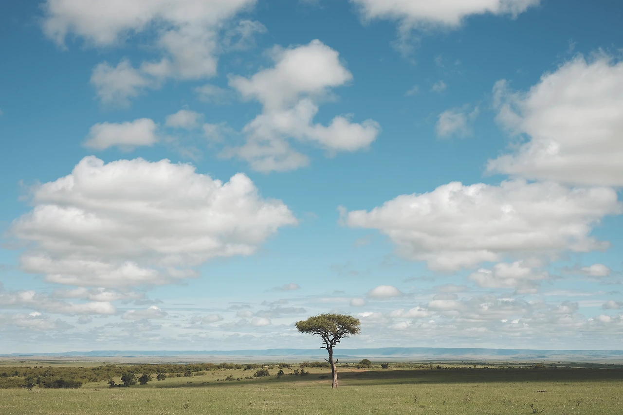 DSCF3990_케냐 _마사이마라.JPG