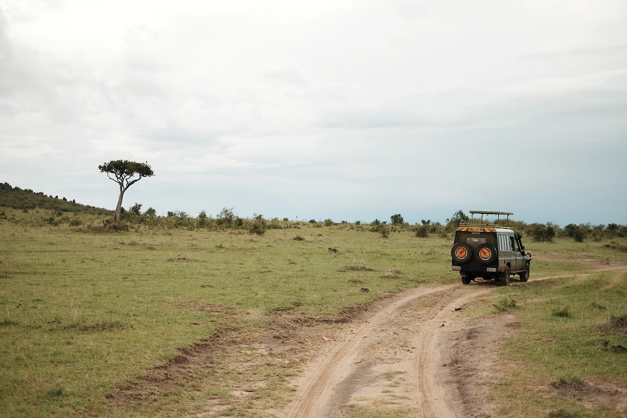 DSCF3957_케냐_마사이마라 (2).JPG