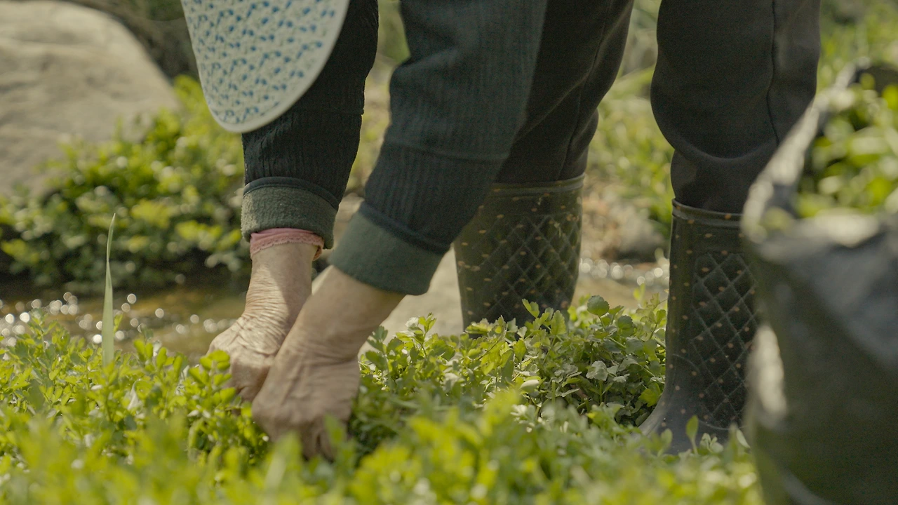 KakaoTalk_Photo_2025-04-11-23-30-26 001.jpeg