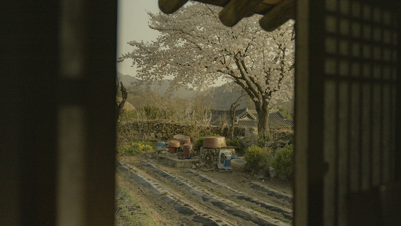 KakaoTalk_Photo_2025-04-11-23-30-28 003.jpeg