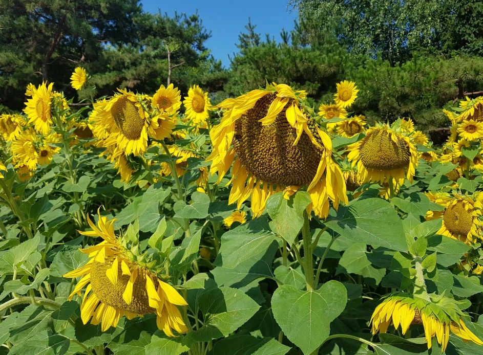 앎이란 무엇인가.PNG