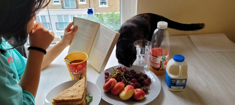 20220801_093355.jpg?type=w773