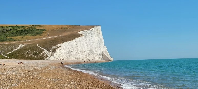 20220729_141539.jpg?type=w773