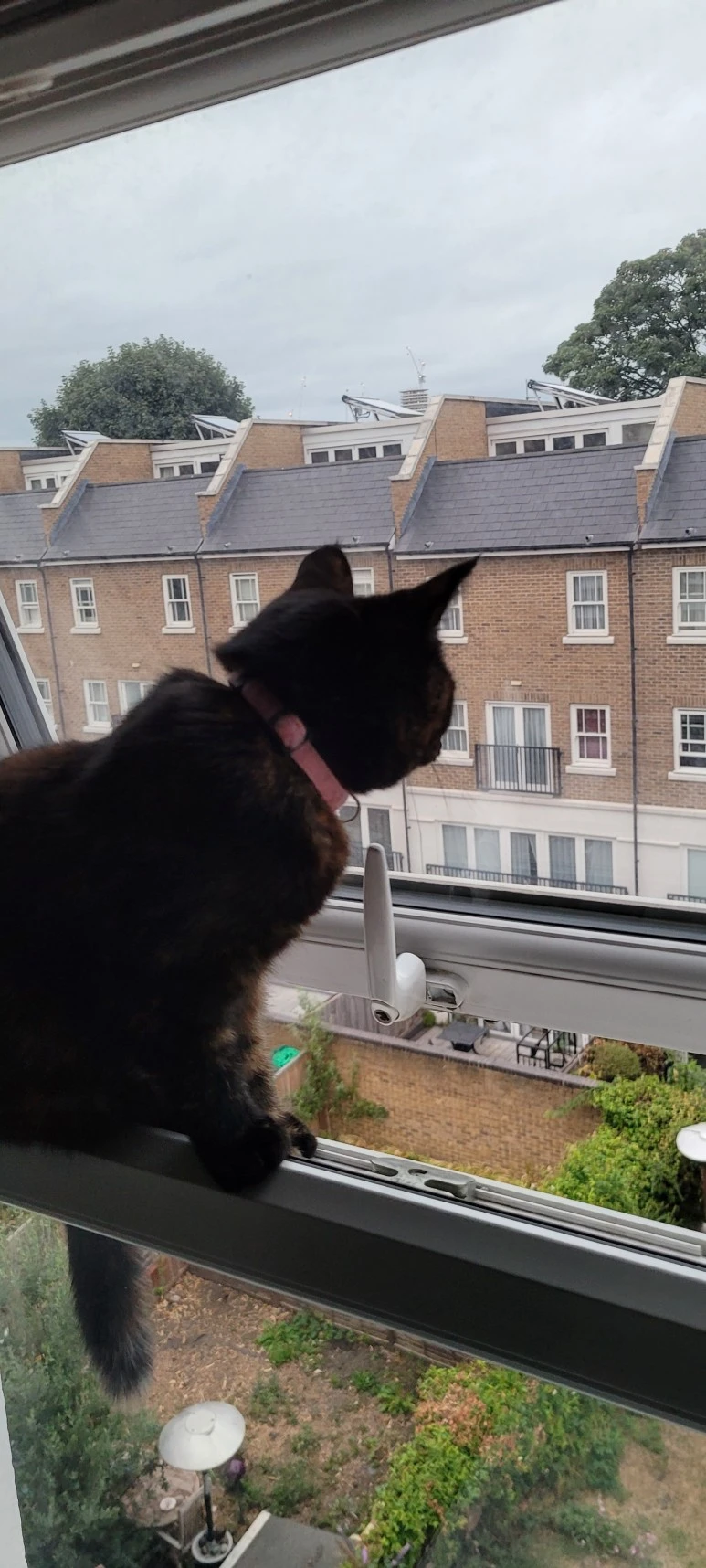 20220731_053922.jpg?type=w773