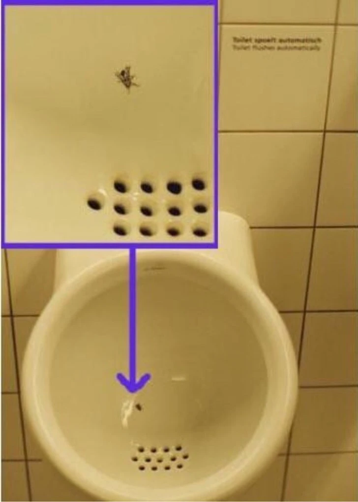 99A06C375CEA8D611B433B