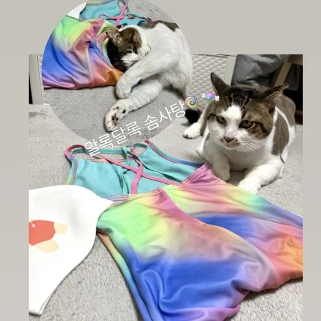 9BE2FC35-E575-41E1-878D-D1011579797E.jpg?type=w466