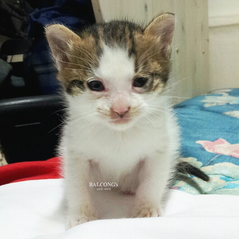 SE-43787176-2a63-4d37-b4a6-9ae6fb9a1679.jpg?type=w1