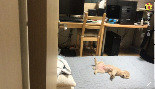 image_2549659881537762730123.jpg?type=w966