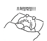 original_18.png?type=p50_50