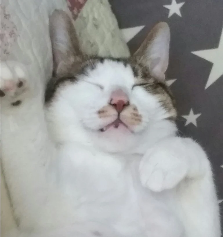 IMG_9750.JPG?type=w1