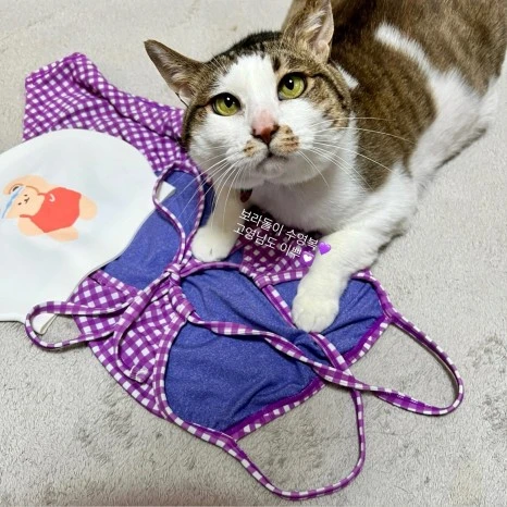 03A2C7E0-9AF6-4313-8E8B-D4EA7BA23A3E.jpg?type=w466