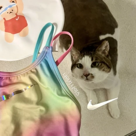 IMG_8720.jpg?type=w466