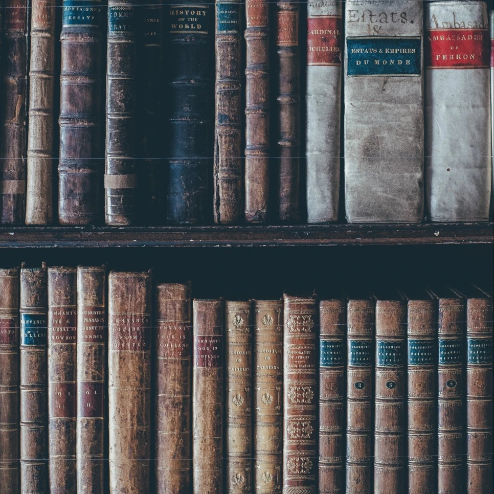 SE-7d340ca0-f661-429e-8842-5a1547221ae8.jpg?type=w966