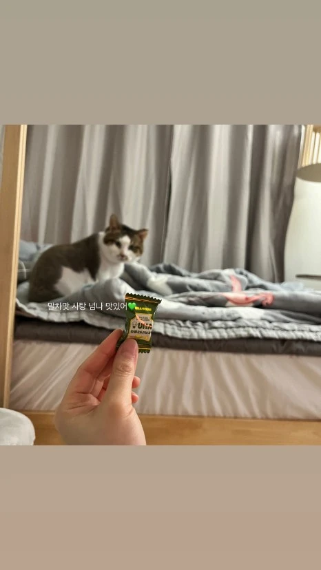 3D8C957E-9EAA-417A-99B2-1A4C6A45FD31.jpg?type=w466