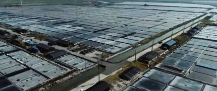 IMG_9615.jpg?type=w966