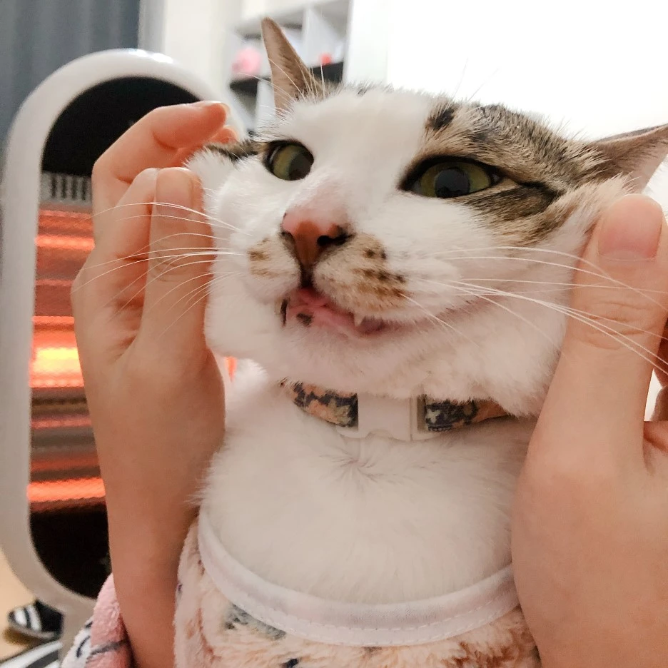 IMG_9584.JPG?type=w1