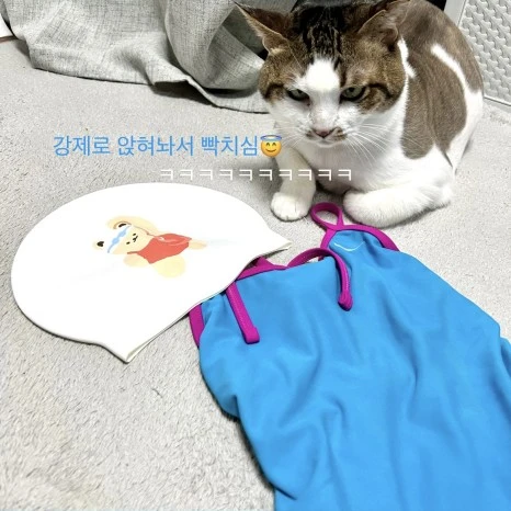 55D8931C-A2F8-4AAF-8CDD-0317A3DC12EE.jpg?type=w466