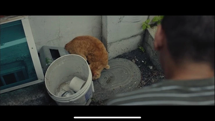 SE-afd4b91f-6fbf-4f20-ae71-88eb4fcb6640.jpg?type=w800