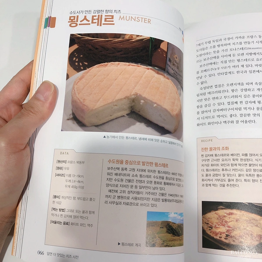 SE-7a841218-f757-4899-bdce-c7d0ea0257dd.jpg?type=w1