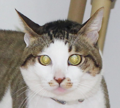 IMG_5562.PNG?type=w1