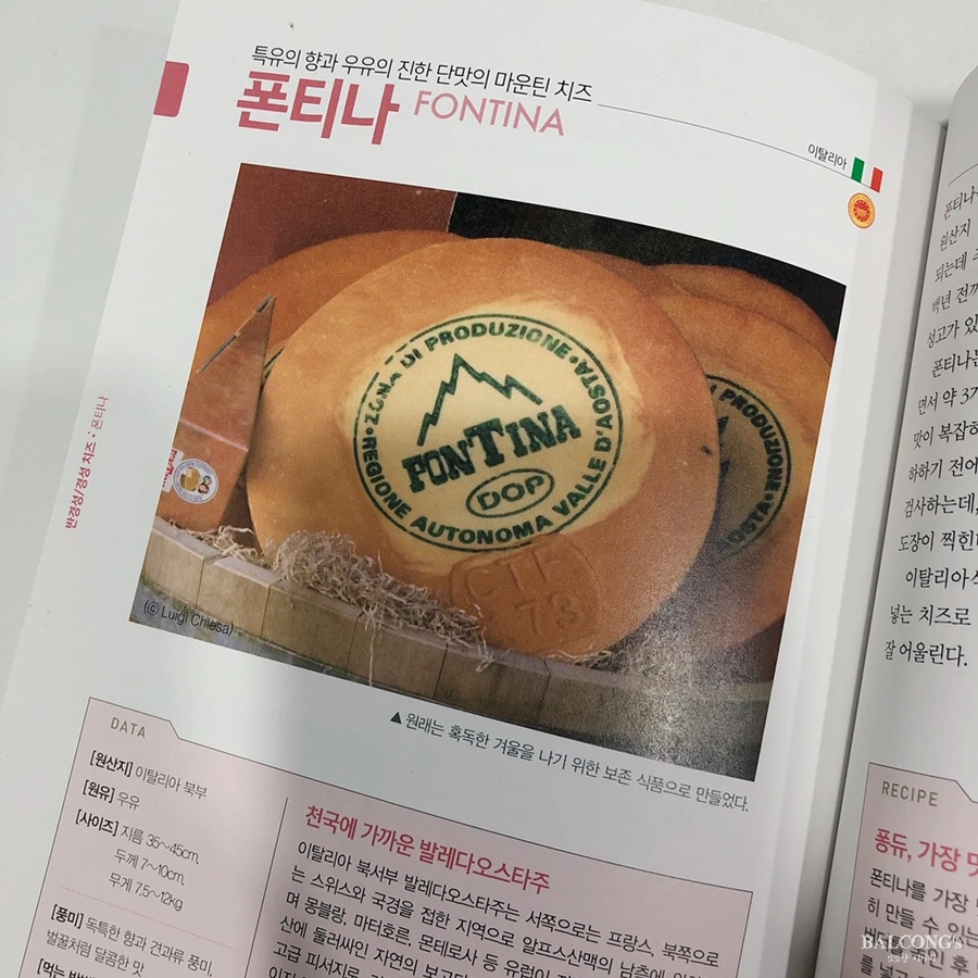 SE-e8d61f39-74d5-48d4-bd85-76076d8cafdc.jpg?type=w1