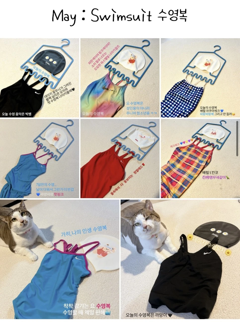 IMG_8171.jpg?type=w966