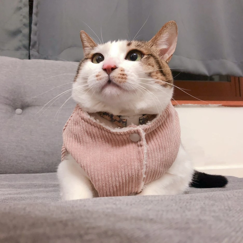 IMG_6752.JPG?type=w1