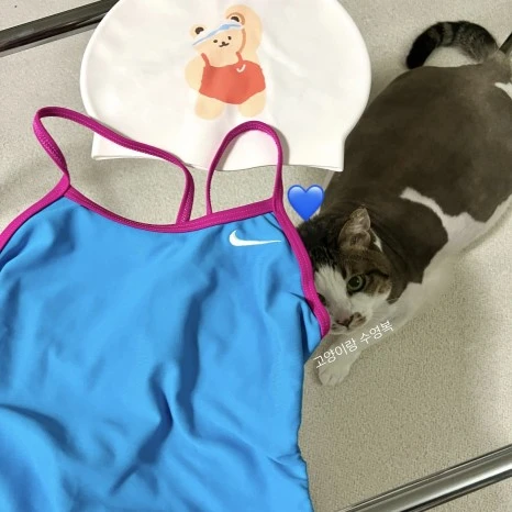 814A8DBA-87E6-437A-BDDF-2A26B3BA16DA.jpg?type=w466