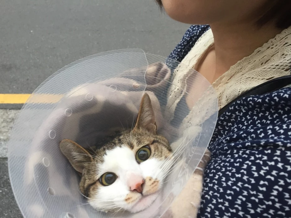 IMG_5153.JPG?type=w1