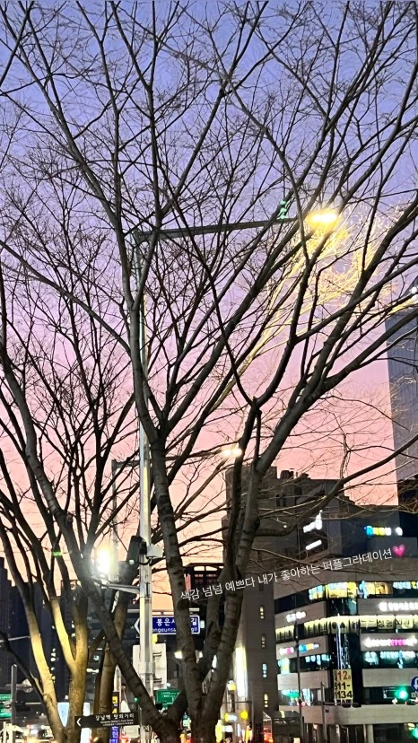 5329F263-B69A-45E1-B47F-32D8C7246A11.jpg?type=w466