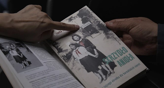 movie_image.jpg?type=w966