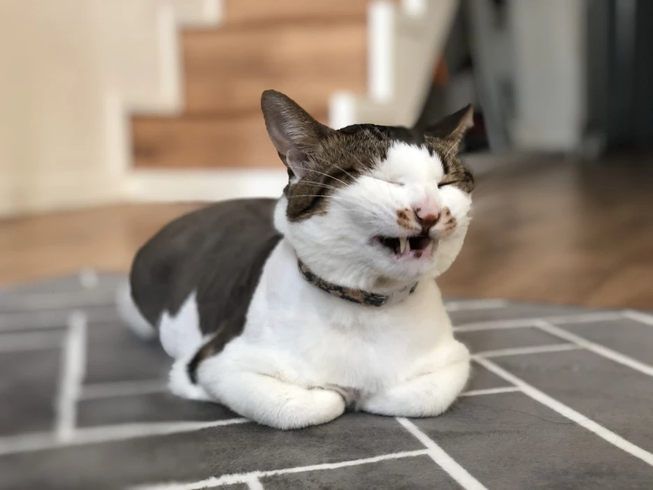 IMG_6077.jpg?type=w1