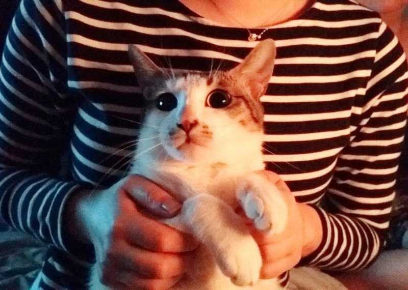 IMG_1317.JPG?type=w1