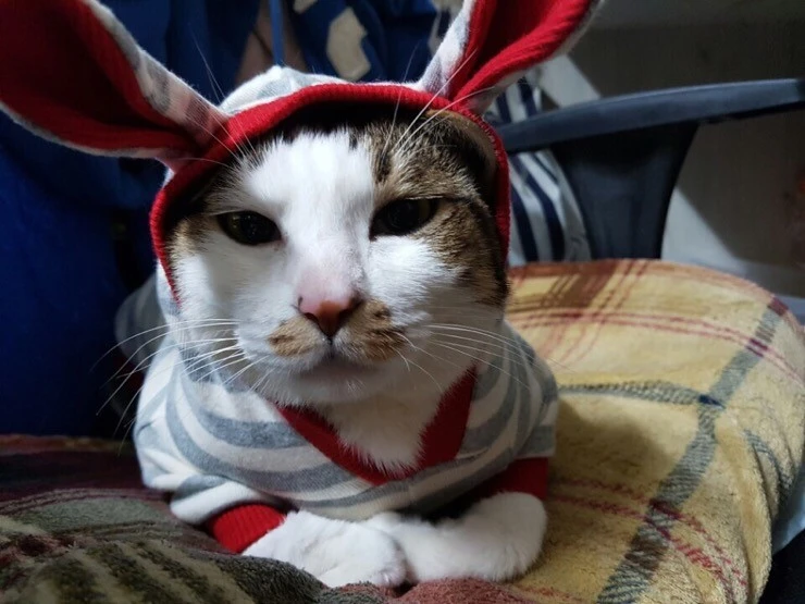 IMG_7283.JPG?type=w1