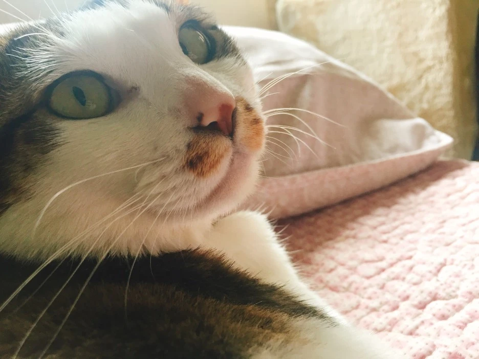 IMG_9313.JPG?type=w1