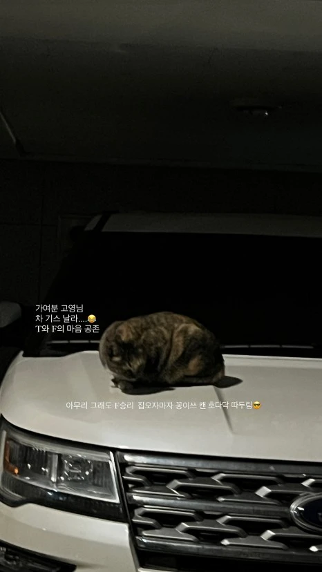 BF6BB6AA-1857-4C53-A328-9933BA932E3E.jpg?type=w466