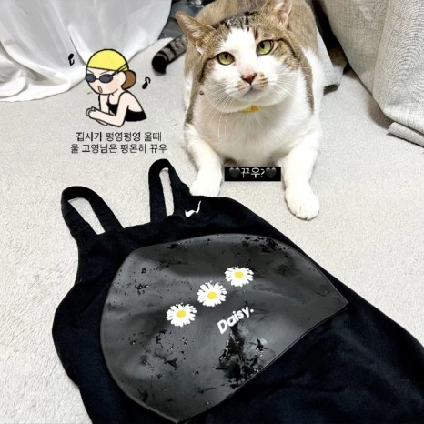 IMG_5501.jpg?type=w466