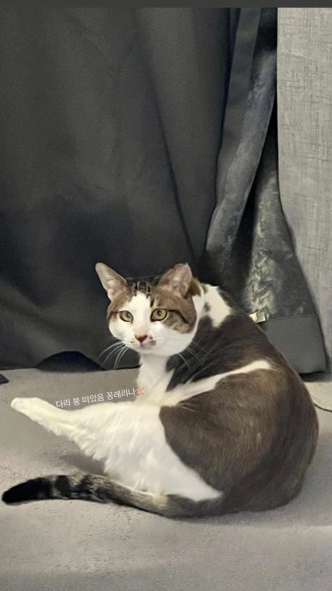 0CA00D0B-00EE-464F-9AA2-224B6F9987F0.jpg?type=w466