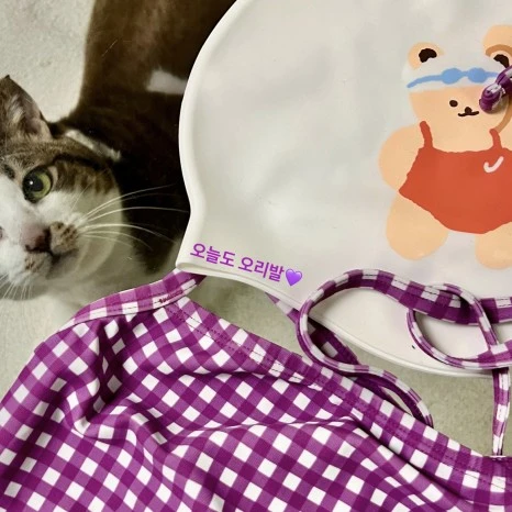 F90292B9-F8CB-44FB-A7C9-D733A70DD511.jpg?type=w466