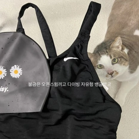 8A3EB0B0-7867-4BD2-94B9-138A58DEF0C1.jpg?type=w466